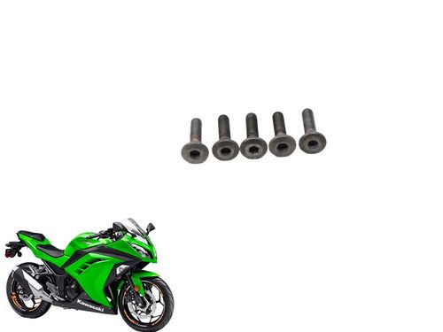 Parafuso Disco Freio Dianteiro Kawasaki Ninja 300 13-13