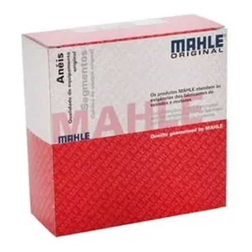 ANEL DE MOTOR - FORD ZETEC ROCAM 1.6 8V