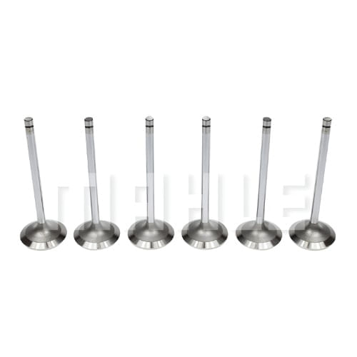 VALVULA ADMISSAO - JOHN DEERE 6068 | 4045