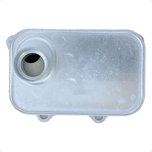 Radiador Óleo Vw Passat 2007 a 2011 - 1356554 - RO45002