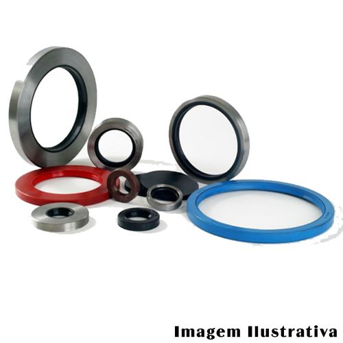 Retentor Roda Ford Del Rey 1981 a 1991 - 200079 - 1764BAGG
