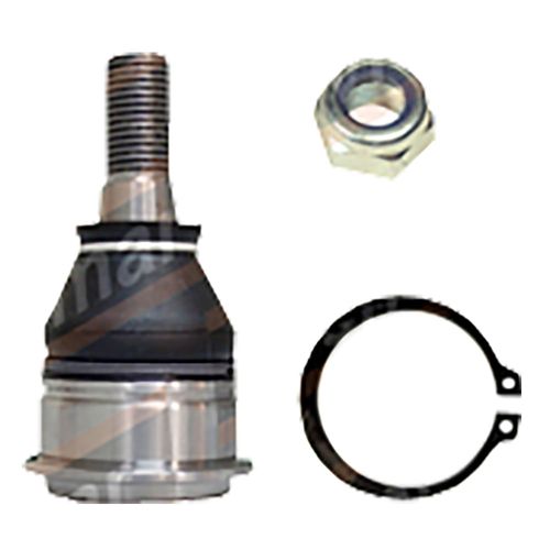 Pivô Suspensão Nissan Sentra 2001 a 2006 - 160659 - 503376