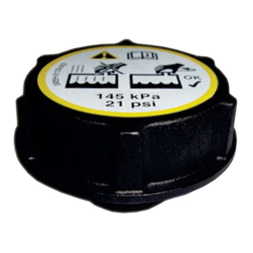 Tampa Reservatório Expansão Ford Focus 2008 a 2017 - 196815 - 22098