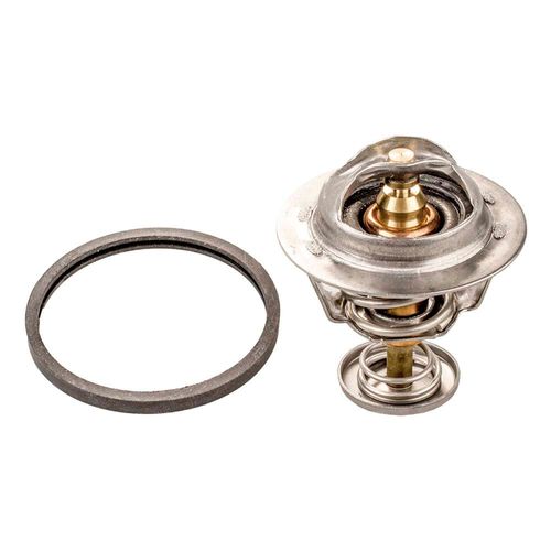 Válvula Termostática Mitsubishi Space Wagon 1993 a 2003 - 838146 - 338782