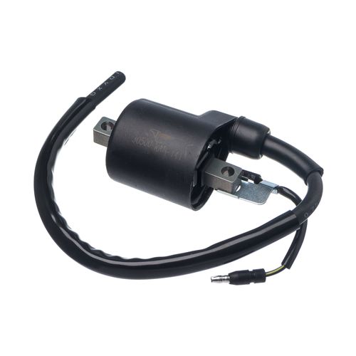 Bobina Ignicao Condor 12V Cbx 250