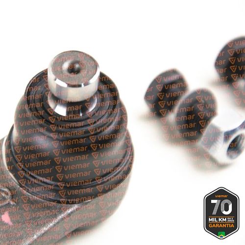 PIVO SUSPENSAO (INFER) (10MM) (C/DH) / CLIO 96-03 / VIEMAR 503010