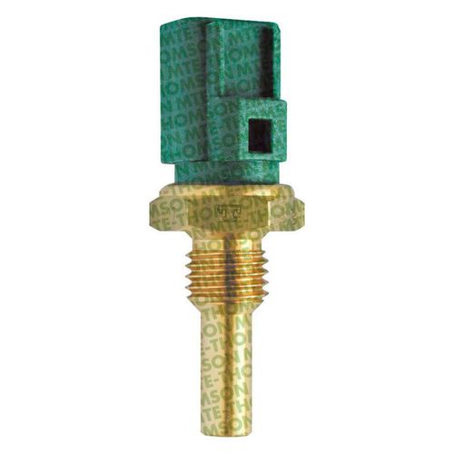 Cebolinha Temperatura MPV 1996/1996 - 48575 - 4027